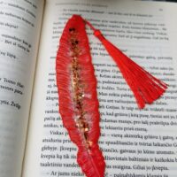 Bookmark