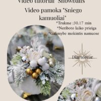 Video tutorial "Snowballs"