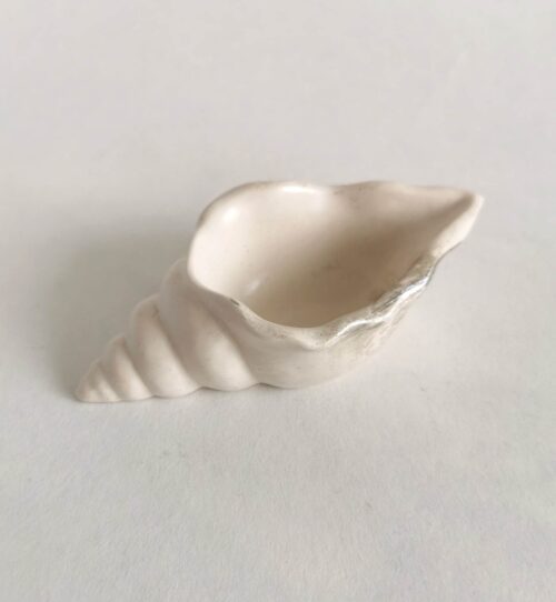 Small shell - Image 5