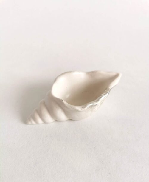 Small shell
